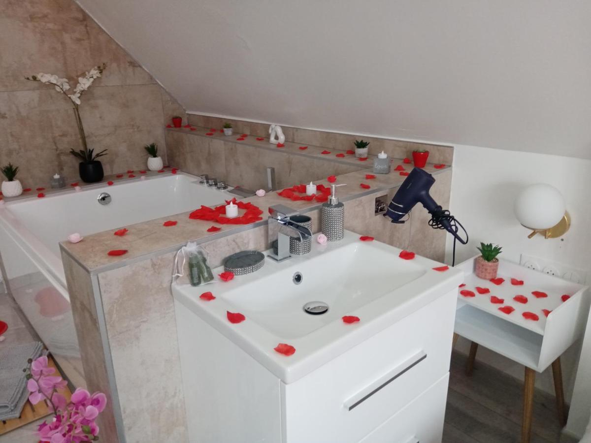 Studio Jacuzzi Au Centre Colmar Buitenkant foto