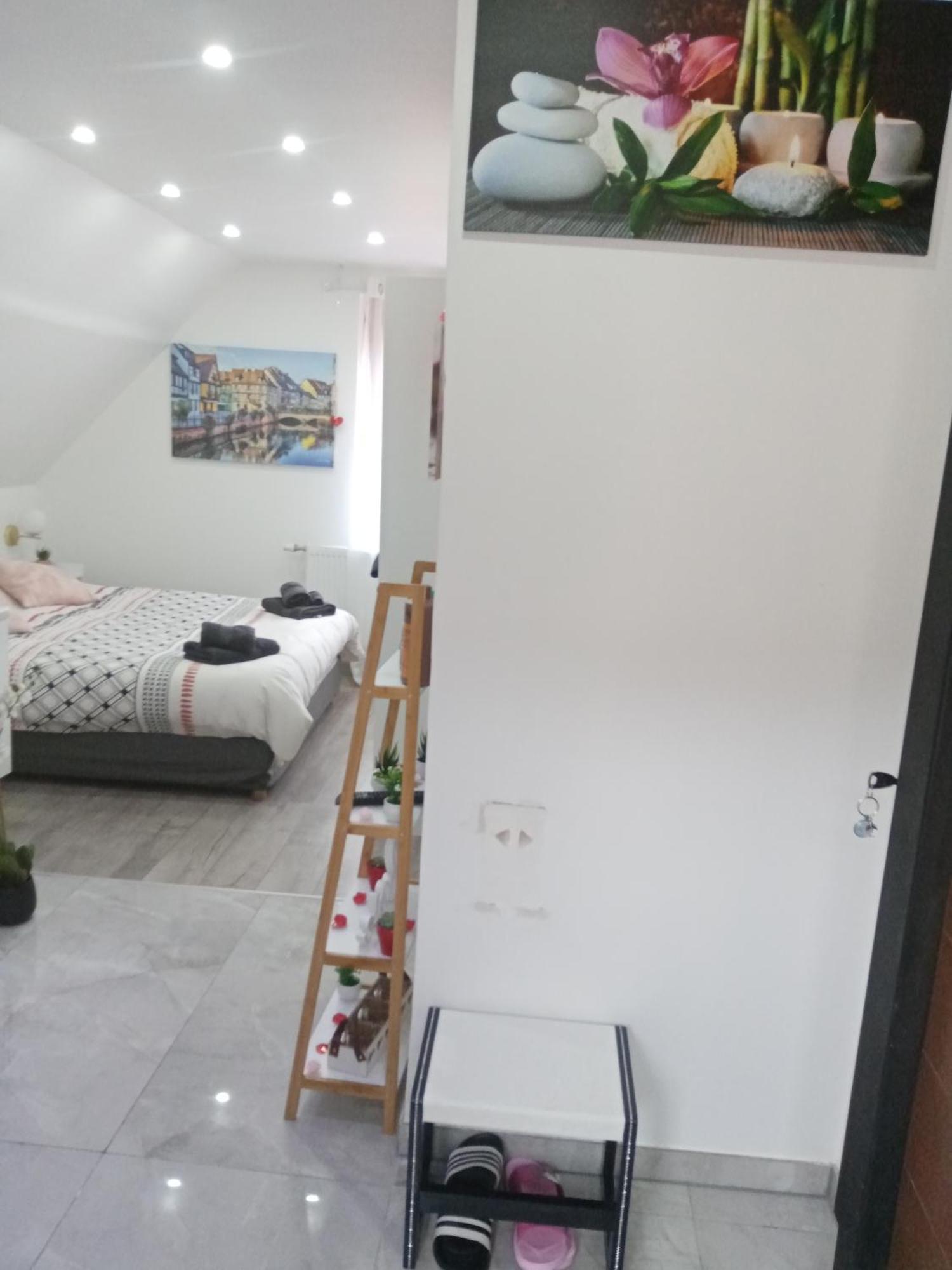 Studio Jacuzzi Au Centre Colmar Kamer foto